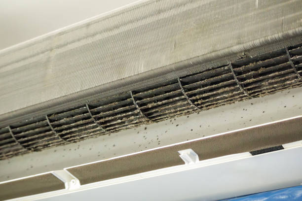Best Emergency Air Duct Cleaning  in Las Lomas, CA